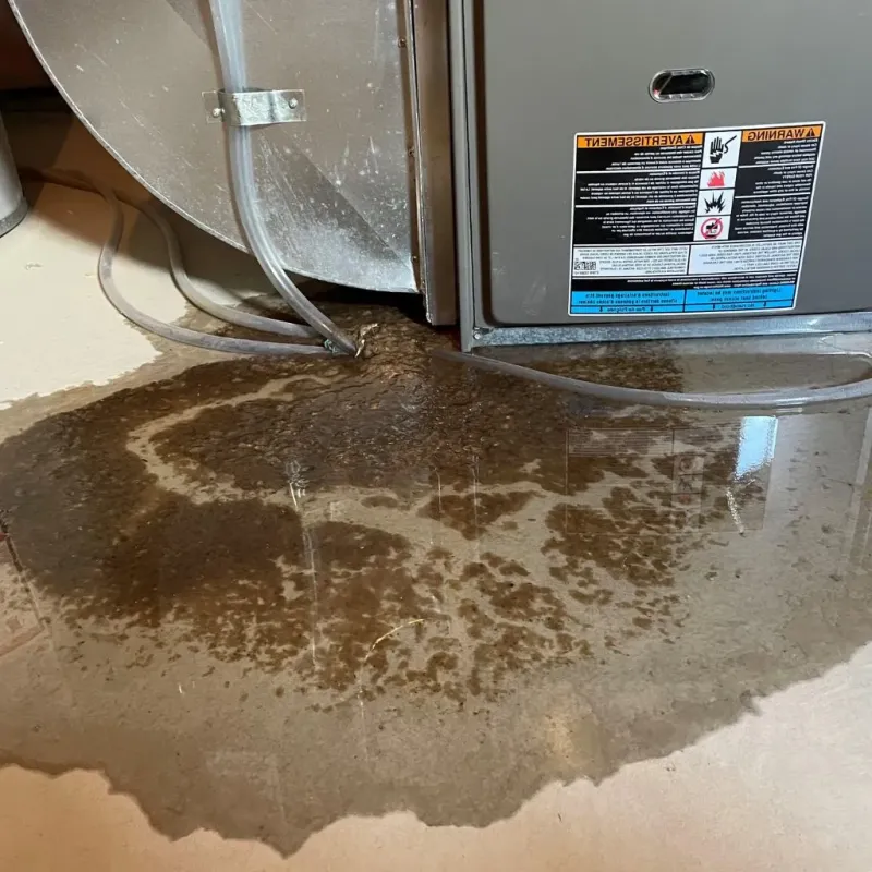 Pipe Burst and Leak Restoration in Lake Wynonah, PA